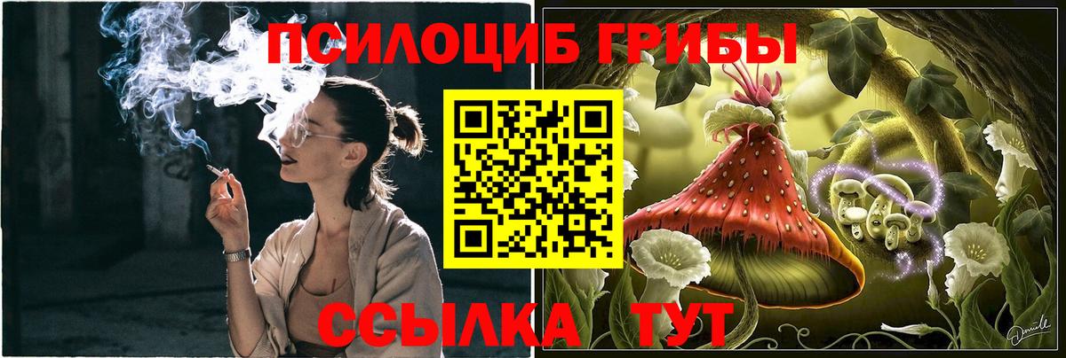 Псилоцибиновые грибы мухоморы  Псилоцибиновые грибы Magic Shrooms  Вход с VPN  как найти закладки  Йошкар-Ола 