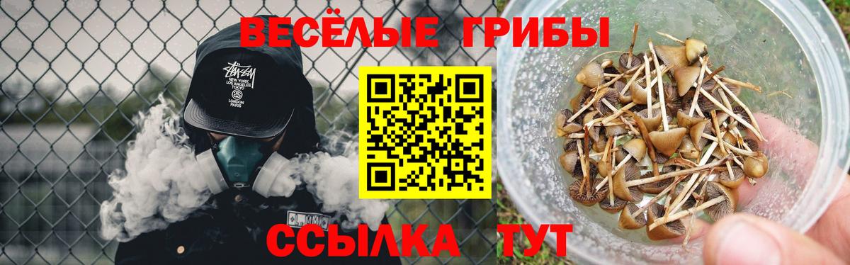 Псилоцибиновые грибы мухоморы Йошкар-Ола